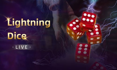 Wild88 ငွေသွင်းထုတ် လုပ်ငန်းစဉ် SSL လုံခြုံမှု MMK ကျပ်ငွေ စစ်ဆေးနေသောပုံ